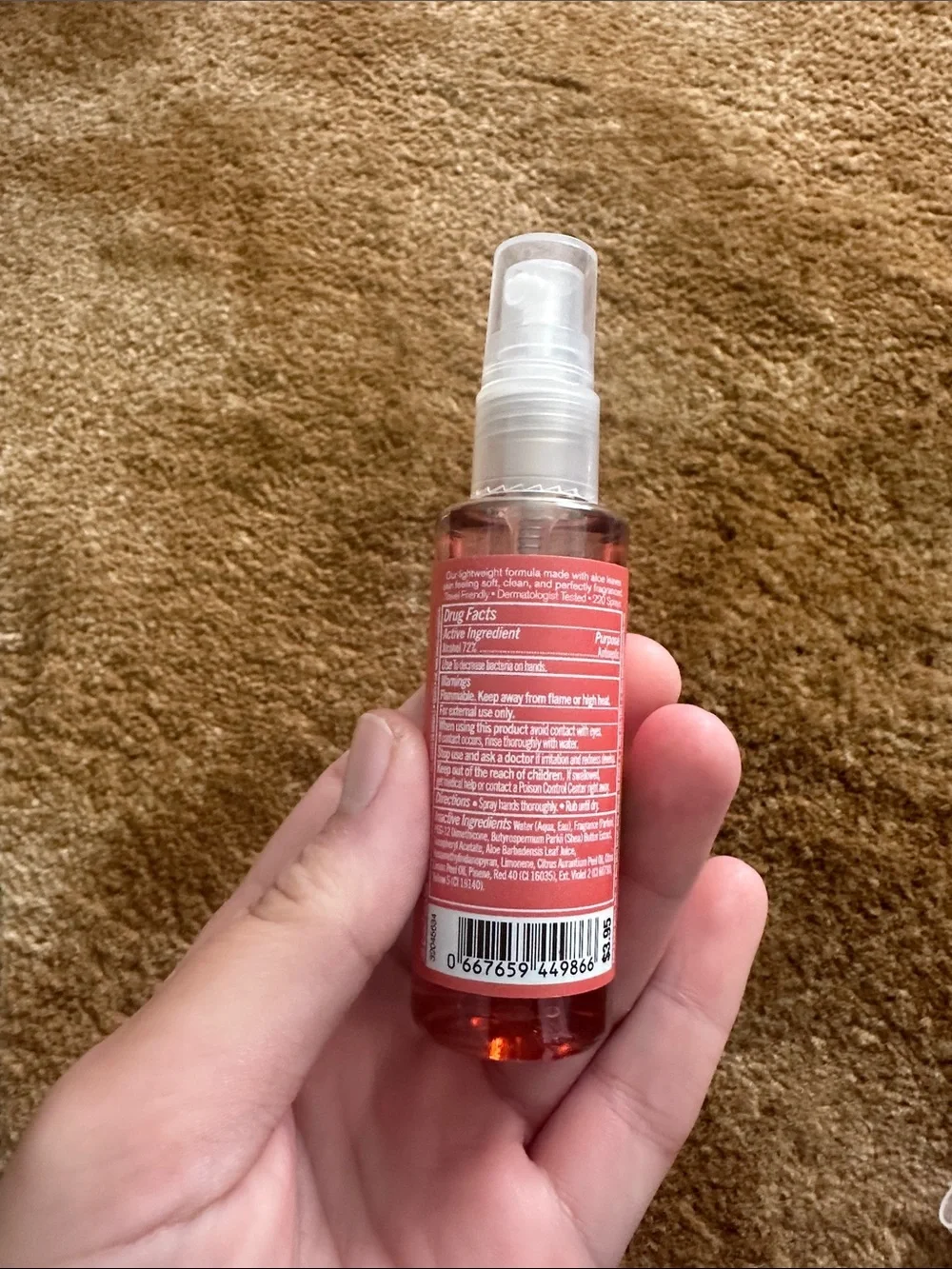 Fresh Watermelon Anti-Bacterial Hand Spray